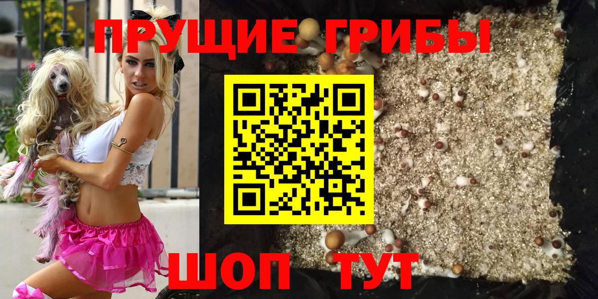 продажа наркотиков  Вход с VPN  Котлас  Галлюциногенные грибы GOLDEN TEACHER 